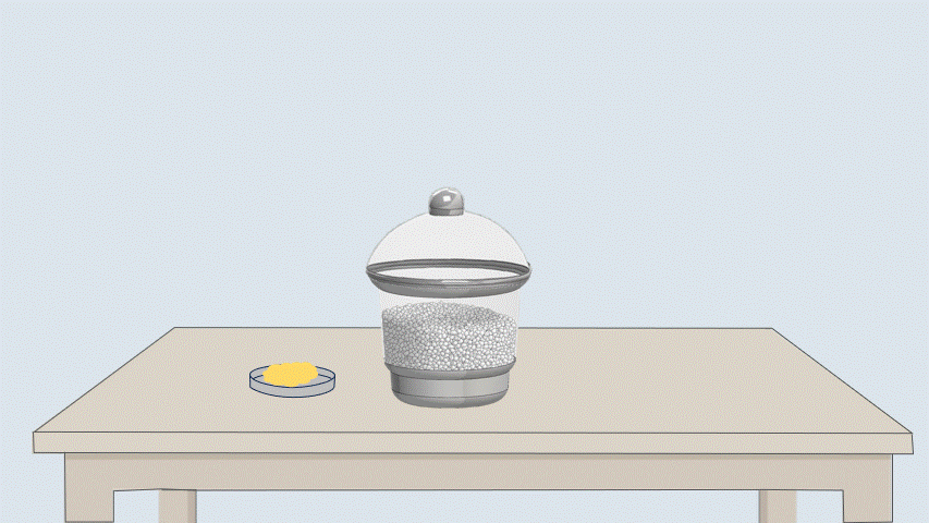 gif8